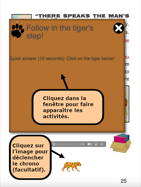 Activités 2